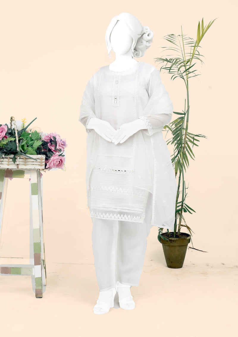 Rashk White Organza Tissue Embroidered Suit with Mirror Work