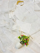 Kashish: Exquisite Organza Tissue with Mirror Work